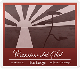 logoweb2